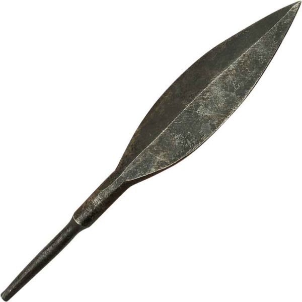 Curved Leafblade Arrowhead