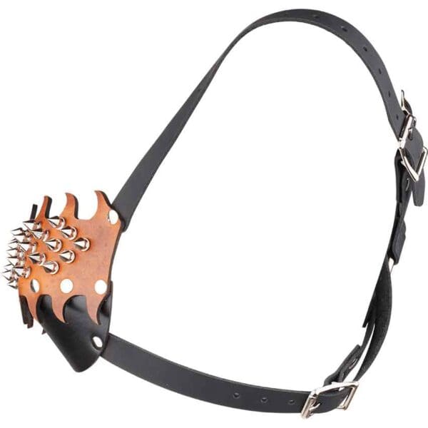 Spiked Leather Bra