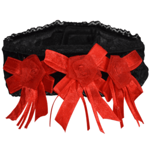 Velvet and Roses Choker