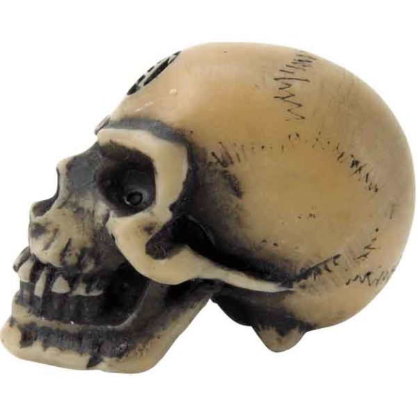 Lapillus Worry Skull