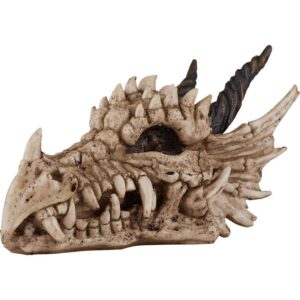 Dragon Skull Statue