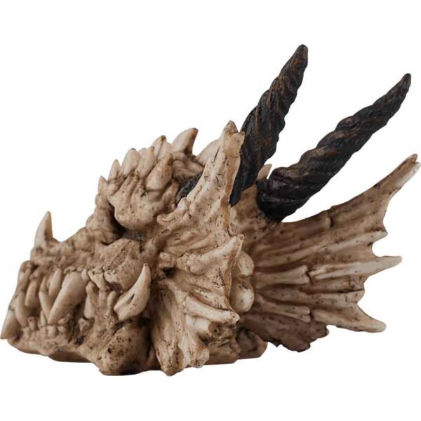 Dragon Skull Statue