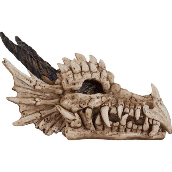 Dragon Skull Statue