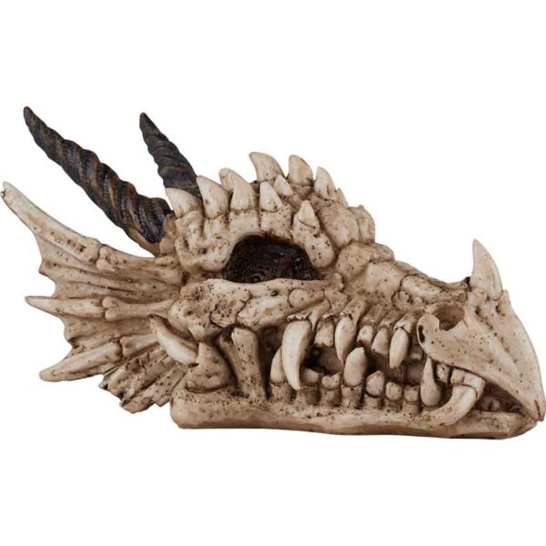 Dragon Skull Statue