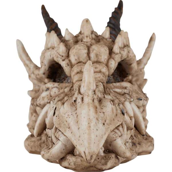 Dragon Skull Statue