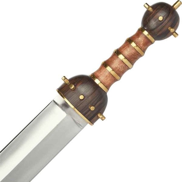 Roman Gladius Sword