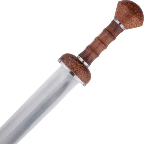 Roman Gladius Sword