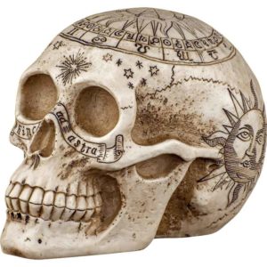 Astrology Skull