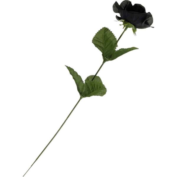 Black Rose