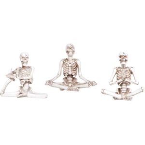 Yoga Skeleton Statue Set