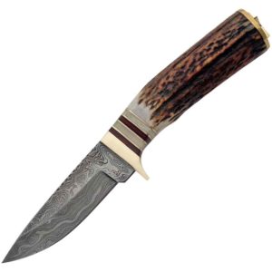 Whitetail Damascus Skinning Knife