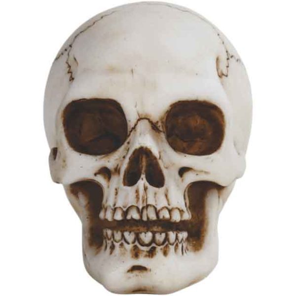 Empty-Eyed Skull Statue