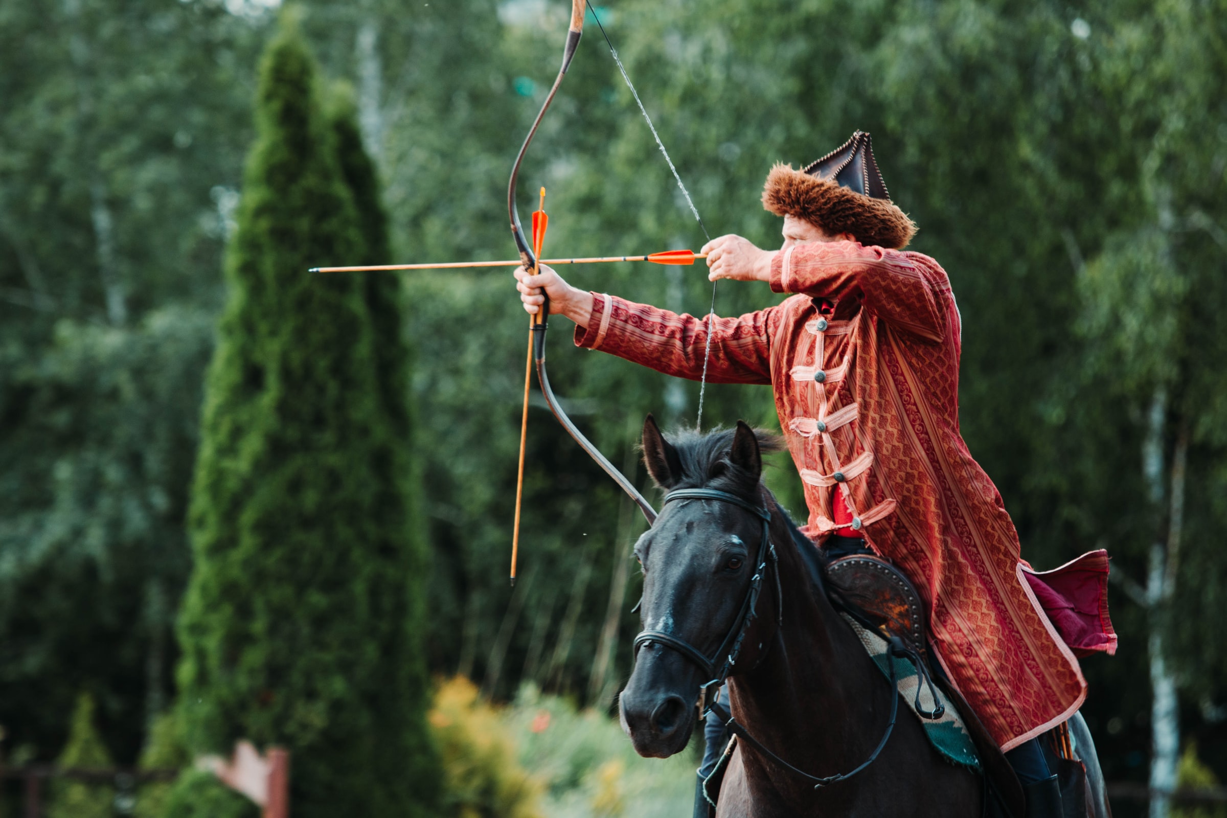 Order Green wooden arrows for traditional and medieval archery