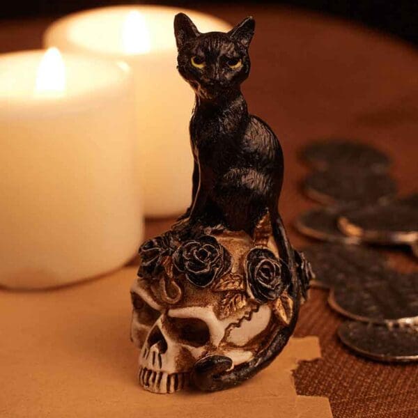 Mini Black Cat Skull