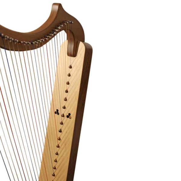 Walnut 29 String Gothic Harp