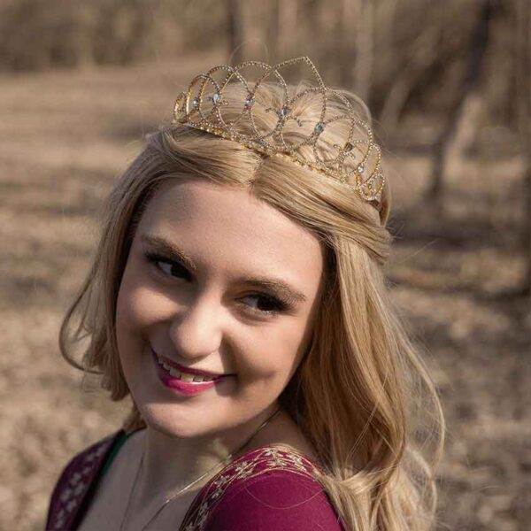 Vaulted Ceiling Tiara with Combs