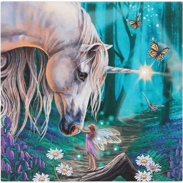 Fairy Whispers Light Up Canvas Print by Lisa Parker