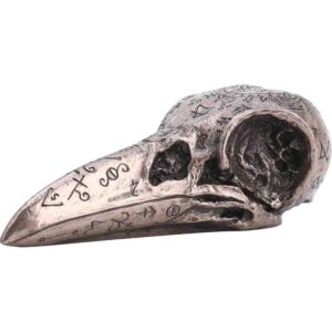 Bronze Alchemical Raven Skull Statue