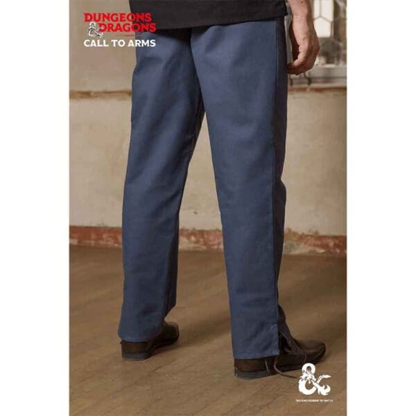 Dungeons & Dragons Rogue Trousers