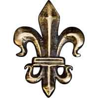 Fleur de Lis Belt Accent